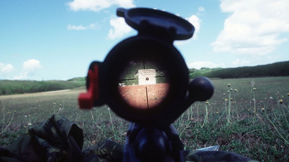 На все упаковки по 10 семян