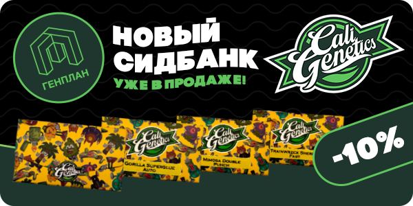 Новый сидбанк в Генплане - Cali Genetics!