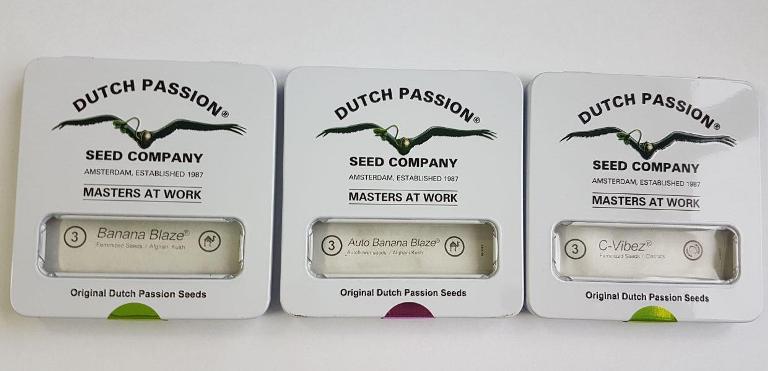 Dutch Passion новые сорта, которые стоит попробовать каждому 