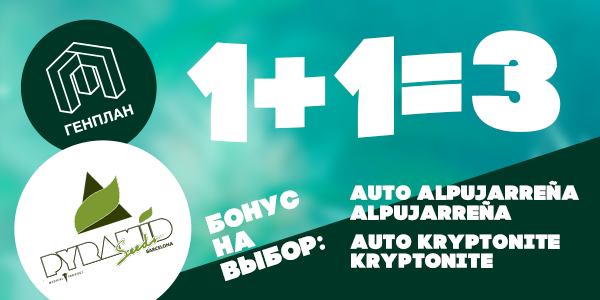 Подарки от Пирамид!