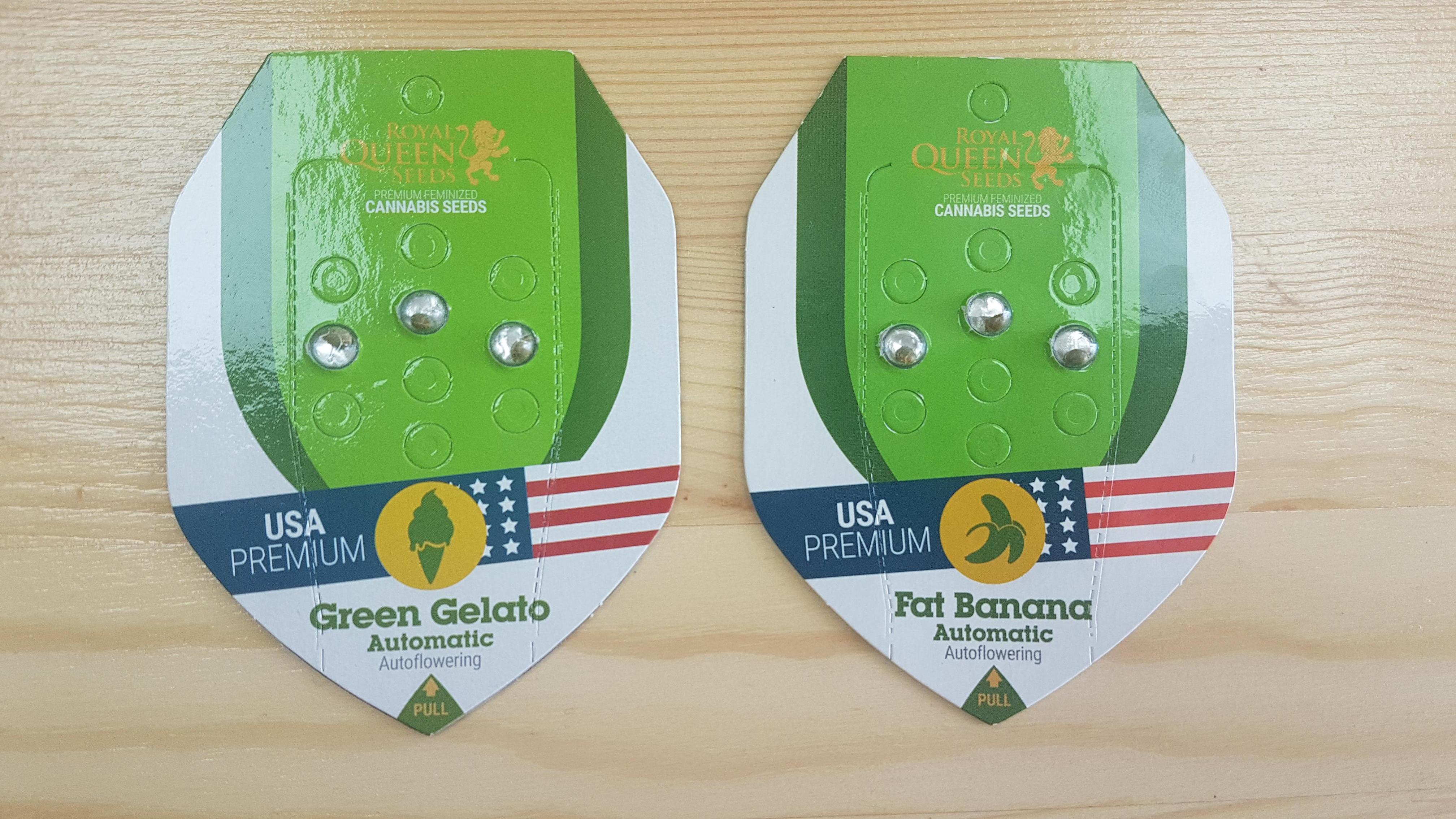 Новые королевские сорта от Royal Queen