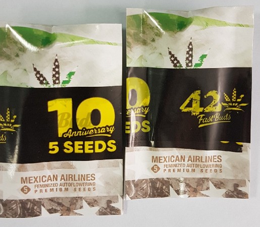 И снова хэпи бездэй фаст бадс