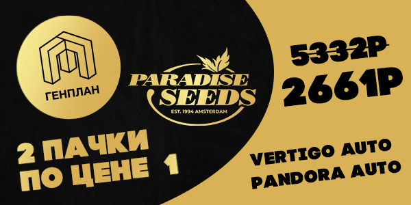 Vertigo auto ﻿и Pandora auto от Paradise Seeds