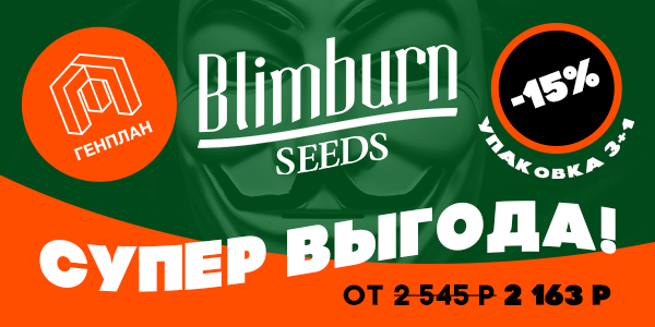 -15% на сидбанк Blimburn Seeds